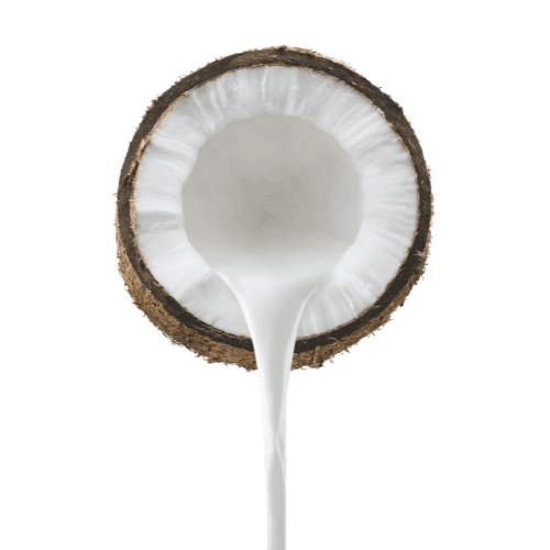 Coconut