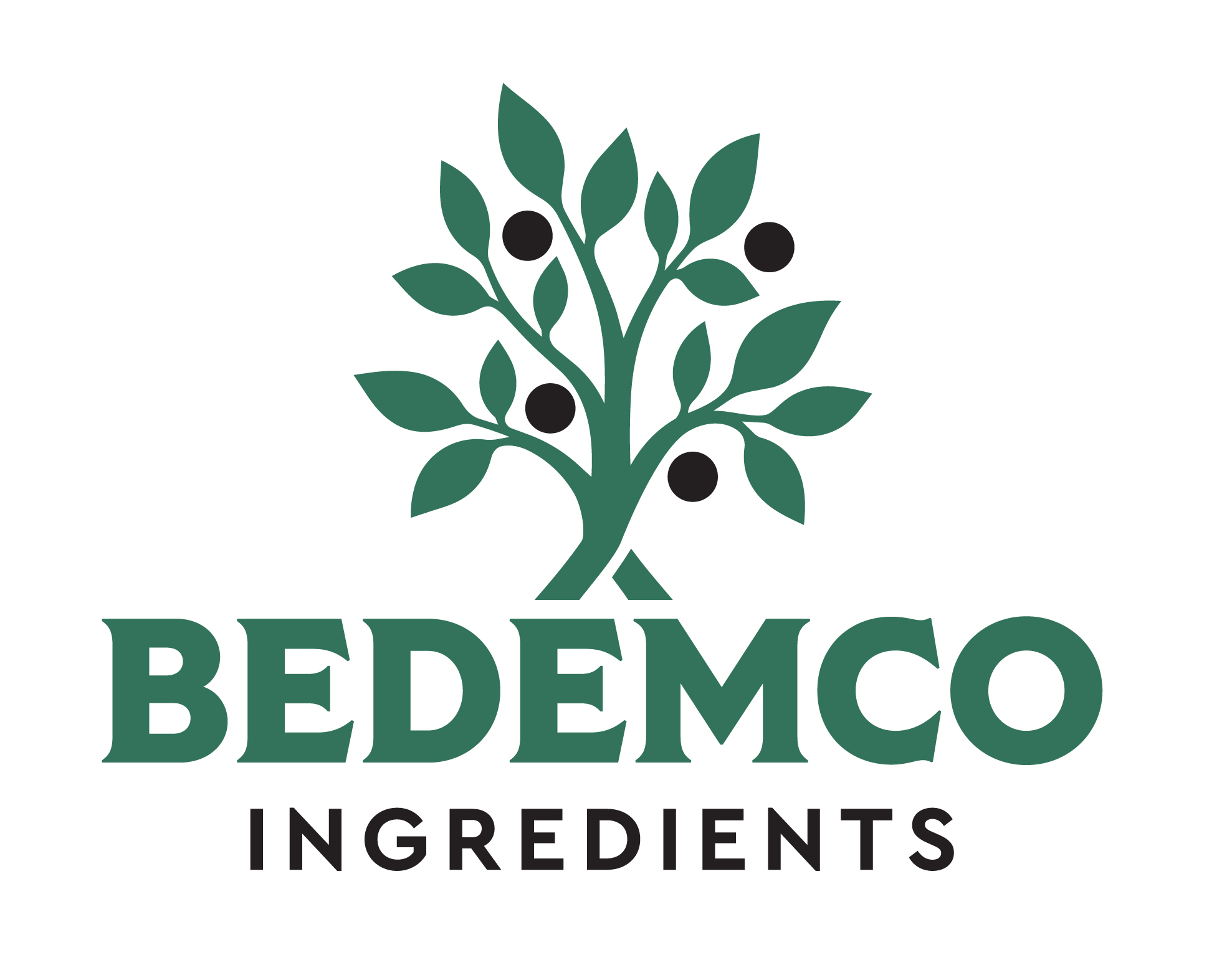 Bedemco